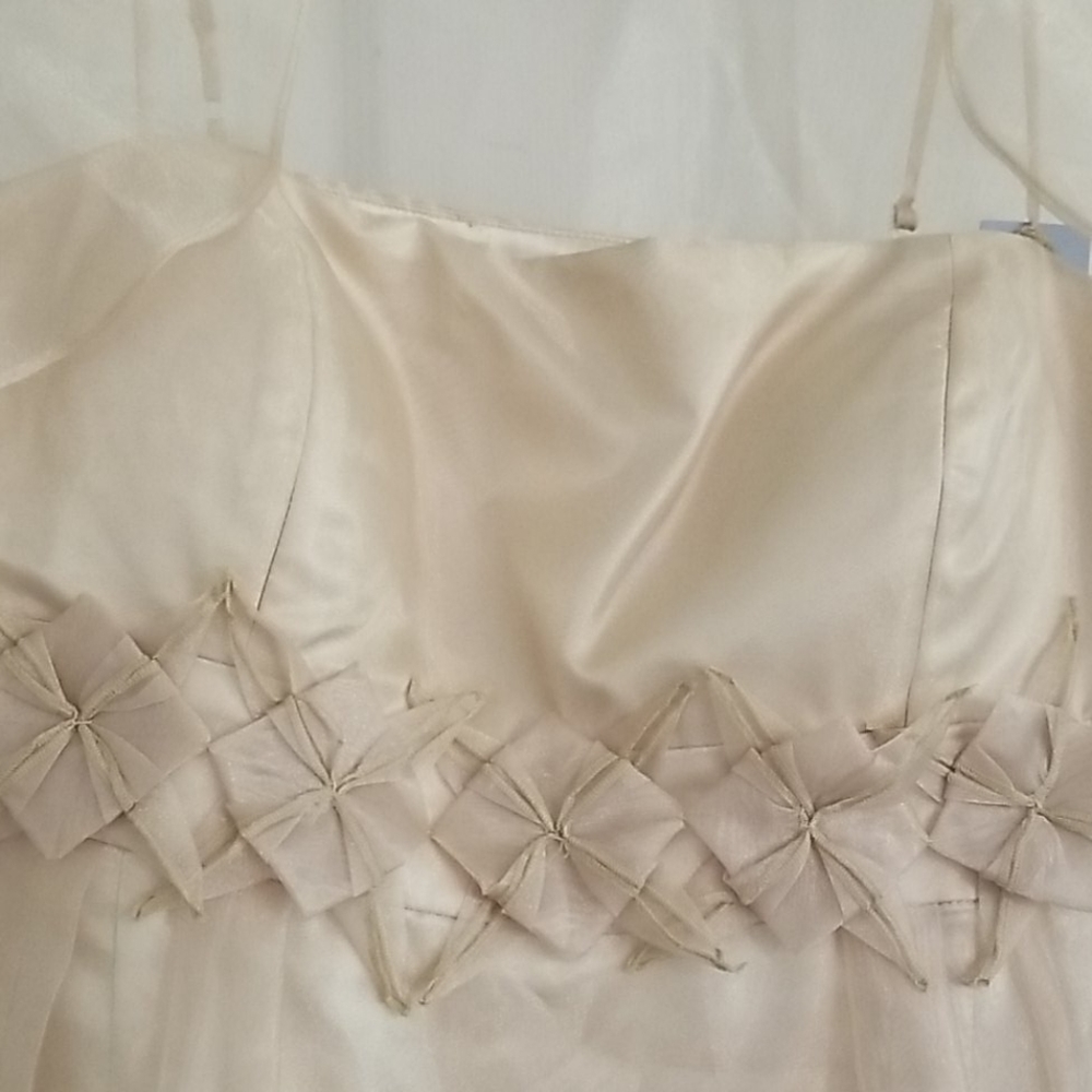 Dress - Picture 2 of 3